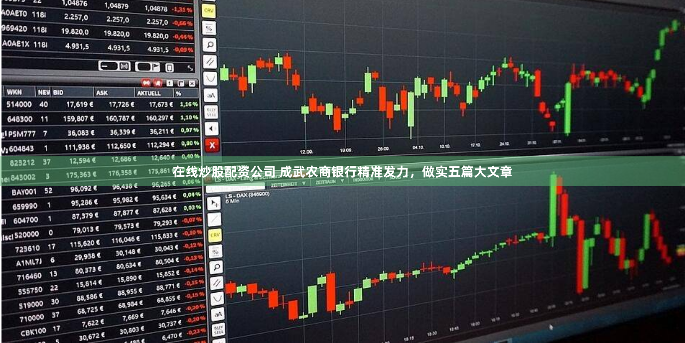 在线炒股配资公司 成武农商银行精准发力，做实五篇大文章