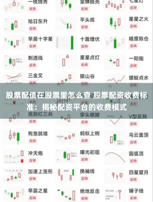 股票配债在股票里怎么查 股票配资收费标准:揭秘配资平台的收费模式