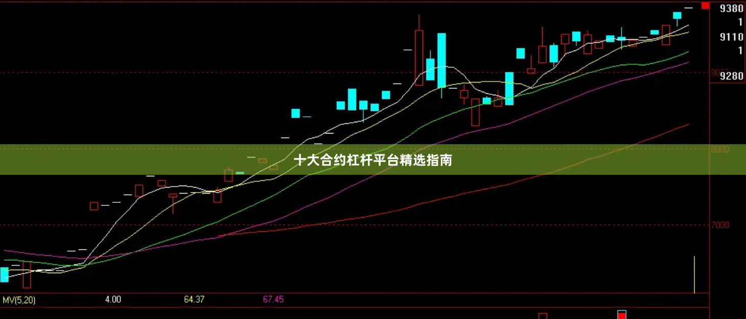 十大合约杠杆平台精选指南