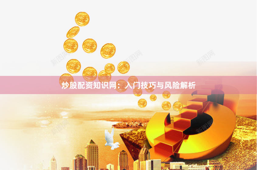 炒股配资知识网：入门技巧与风险解析
